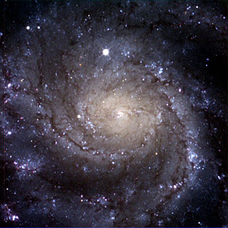 M101