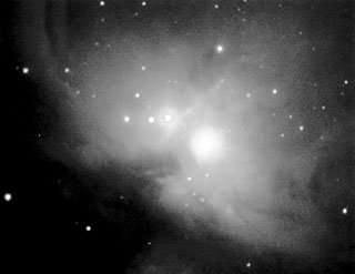 M42