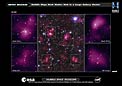 Hubble maps dark matter web in a large galaxy cluster