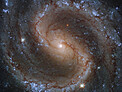 Colours of the Lost Galaxy