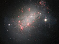 A Marvel of Galactic Morphology