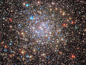Stargazing in NGC 6355