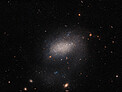 Visitor to a Galaxy