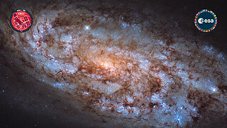 Virtual Meeting Backgrounds: Hubble + ESA Patch