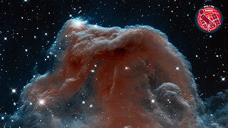 Virtual Meeting Backgrounds