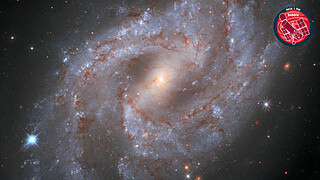 Virtual Meeting Backgrounds