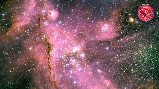 Virtual Meeting Backgrounds