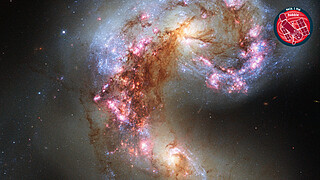 Virtual Meeting Backgrounds