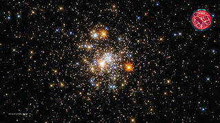 Virtual Meeting Backgrounds