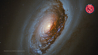 Virtual Meeting Backgrounds