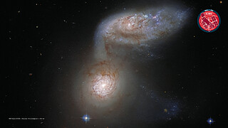 Virtual Meeting Backgrounds