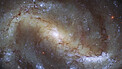 Video of Hubble Goes Galactic Birdwatching