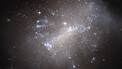 Pan: A dishevelled irregular galaxy