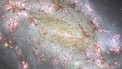 Pan: NGC 1559