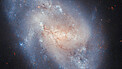 Pan: NGC 337