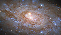 Pan: NGC 5530