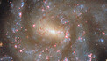 Pan: NGC 685