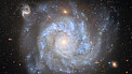 Pan: NGC 1309